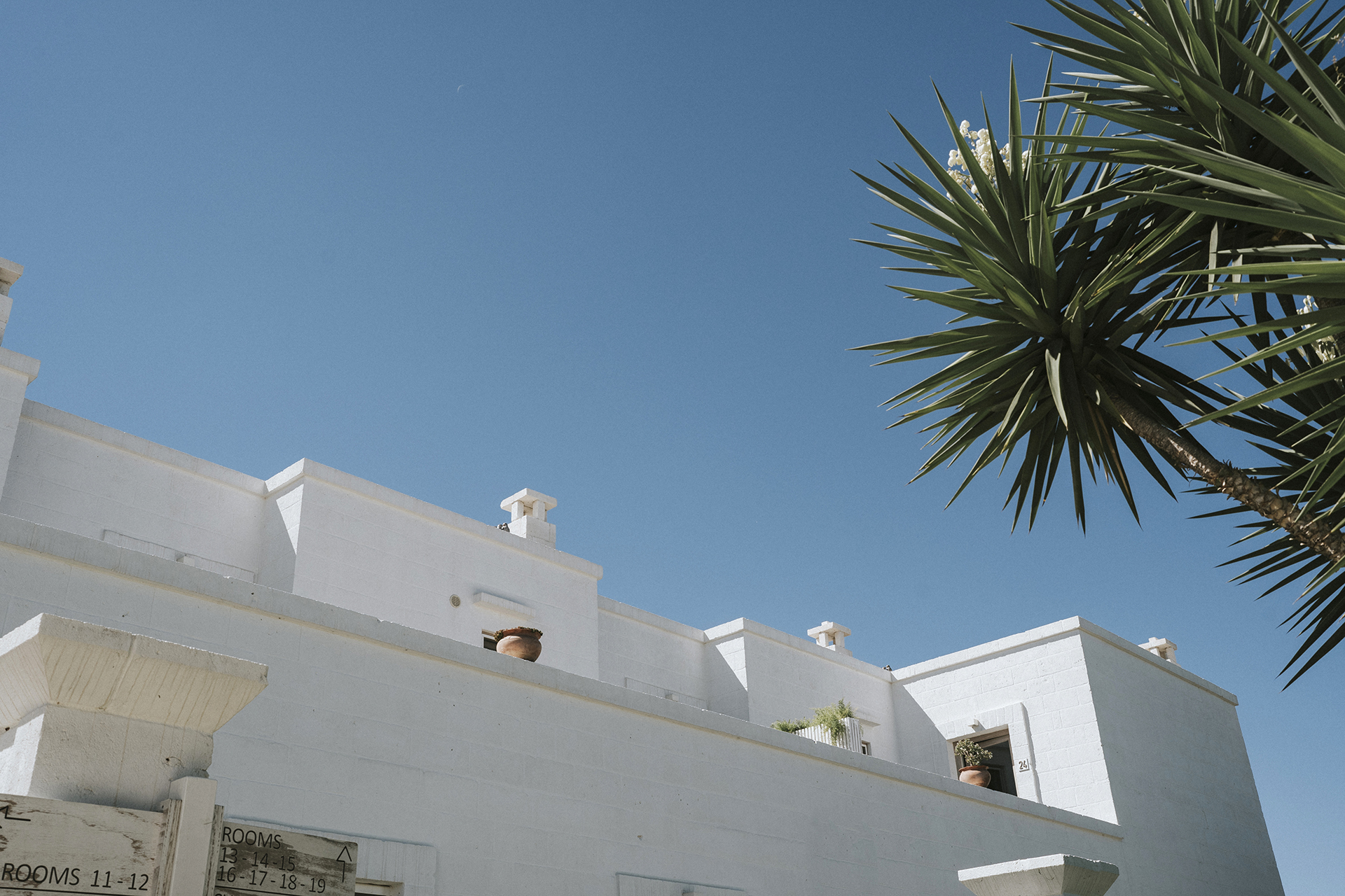 Wedding in Puglia :: 3