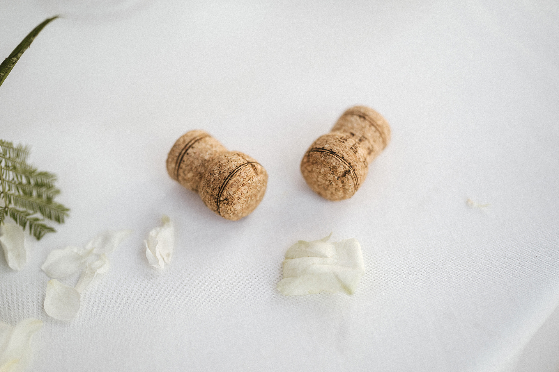 Australian Wedding :: 54