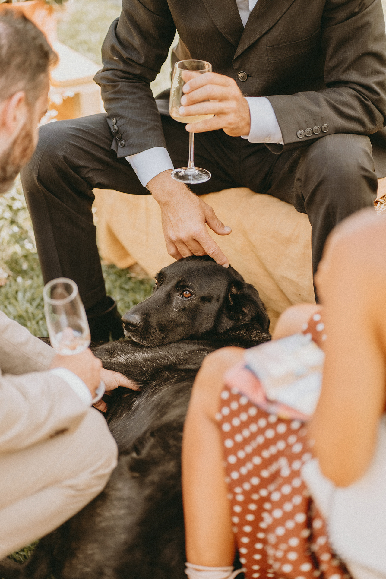 Country Wedding :: 31