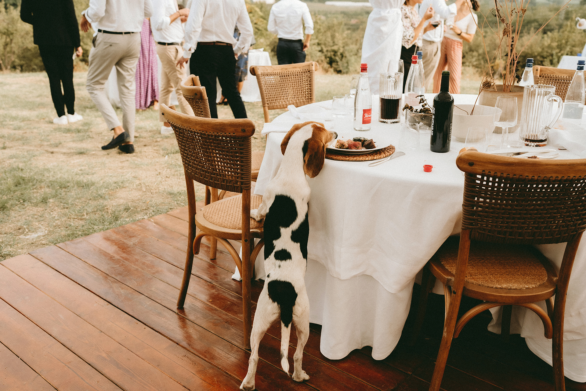 Country Wedding :: 40